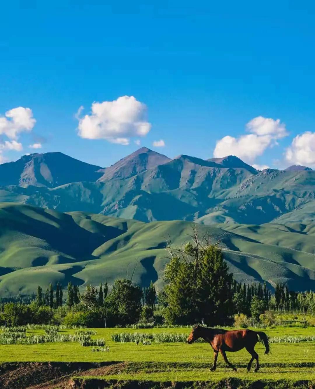 新疆的魅力与风情